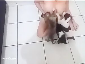 Mujer y perro: un encuentro prohibido