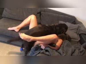 Gross zoophilia: The dog takes control