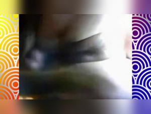 Decadent Zoophilia: Cat devours a Slut's Slit