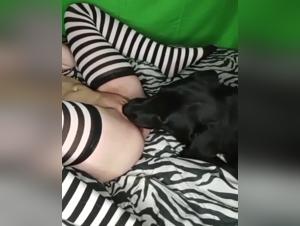 Black debauchery: dog and slut in a power games