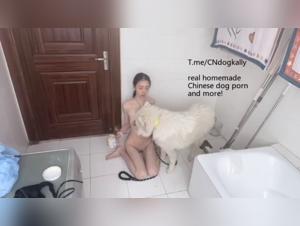 Première Baise Canin : Asian Teen Dévouée