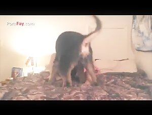 Femme masquée convie son animal de compagnie à dîner