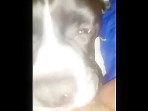 Mujer y perro: un encuentro prohibido