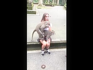 Forbidden intimacy: monkey and human