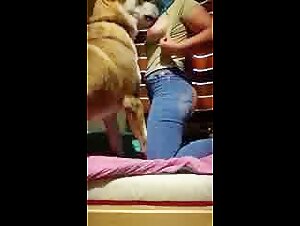 Sexy Woman and Dog