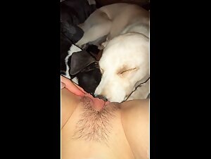 Femme et chien: une rencontre sensuelle