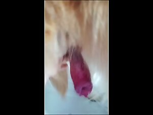 La puta se folla a su perro