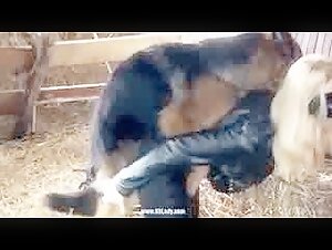 Yasimin e il suo cane in una scena di zoofilia