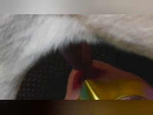 Amateur Woman Enjoying Dog's Oral Attention