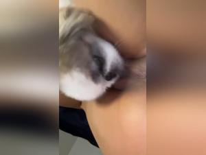 The lil' bitch devours her mistress' juicy pussy