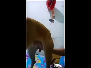 Fapzoo bestiality: el mejor porno de zoofilia con mujeres y perros