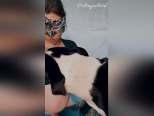 Bestialita dello zoo: momenti chiave