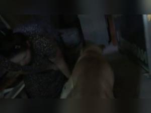 Garaje del equipo de Rusia, parte 2: Obsesion canina