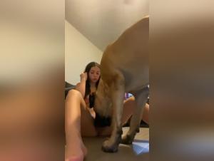 Break the Limits: Exclusive Tele-Anitarkine Downloads