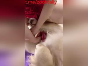 Dogg Chinese Fantasy Sex: extrem und schamlos
