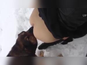 Animal Debauchery: Extreme XXX Videos