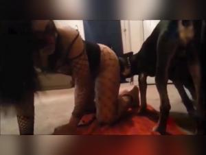 Delices Bruts: potere animale in azione