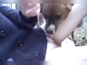 Teen Fucks Dog: Tikzoo Passion
