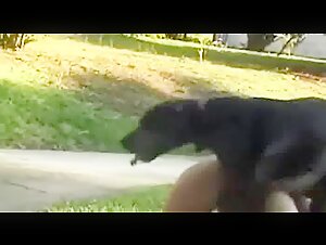 Woman and her dog: a forbidden love story