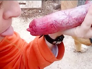 Blowjob with a dog