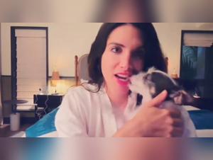 Fozzy the Dog Eats a Woman Live - Sexual Escandal