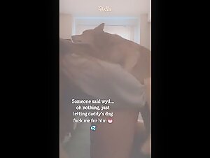 Junge Frau und Hund: ein schockierendes Bestialitatsvideo