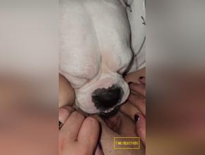 folle dominate, cani violenti e desiderio insaziabile