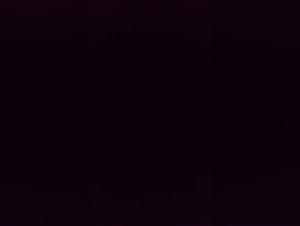 Délices Interdits: Sexe Animal Hardcore