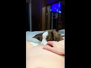 Young Redhead Introduces Curious Dog To Animal Sex