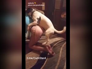 Domestic zoophilia: Granny indulges in canine pleasure without restraint