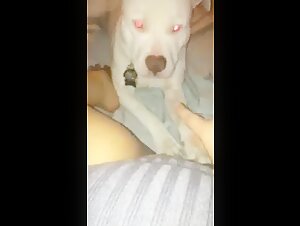 GGLICK01 - Intimate Moment with my Four-legged Best Friend