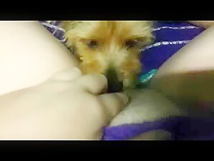 Woman and Dog: A Passionate Encounter
