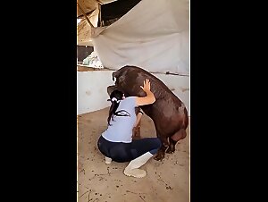 Esplora l'animalita sfrenata: sesso brutale con il cane