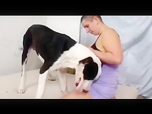 Grosser Hund
