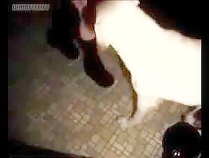 Intimita con un cane