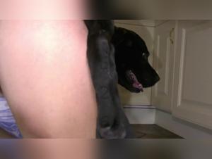 Desideri primitivi: la passione di Lise e il suo cane