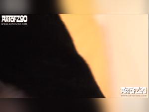 Bestialité extreme zoo porno avec femme, chien et fucking