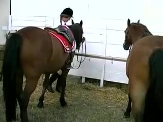 Dominant Horse, Submissive Jockey