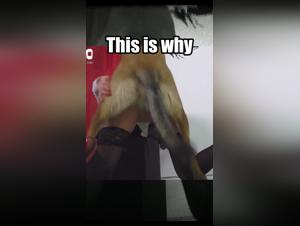 TikTok Reveals: The Link Between Big Dog and Dark Female Desire