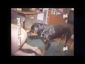 Woman and Dog: A Forbidden Encounter