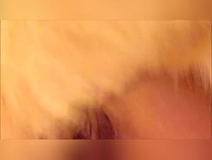 Canine Delights Webcam: Mature and Extreme