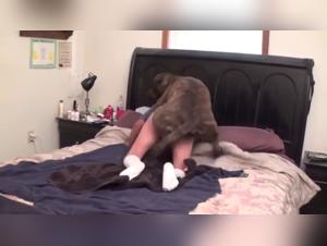 K9 Desire - When Instinct Prevails