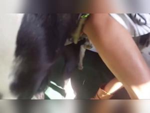 She takes her hairy ride, tight pussy boiling over.