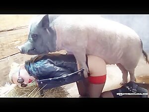 Schwein verliebt in seine Schlampe
