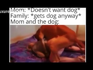 'Mom didn't want a dog'