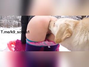 Snowhite succumbs to a massive canine dominatrix