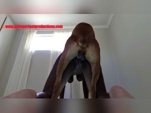 Bestiality Hardcore: Harley Quinn revealed