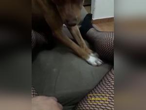 Lecken: Die bestialische Freude der Madchen