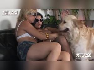Hardcore Zoophilia: Milly's Debauchery with a Dog