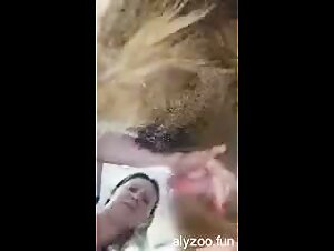 My husband's bitch doesn't give a damn about a dog's tail